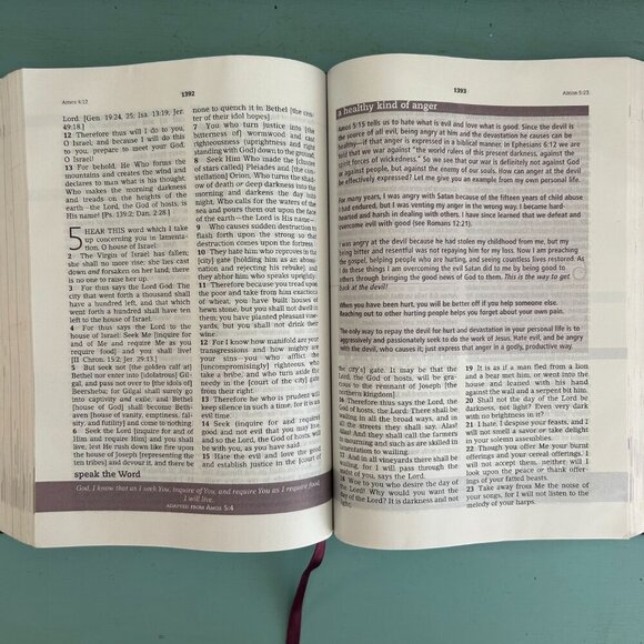 The Everyday Life Bible: The Power of God's Word for Everyday Living Amplified - Picture 3 of 10